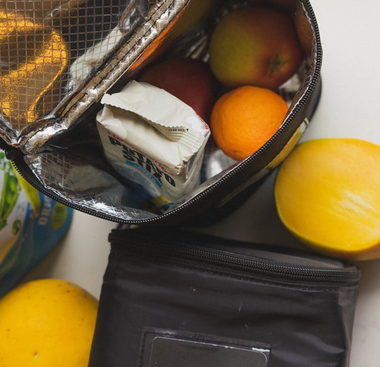 Food Pod Large insulated lunch pod